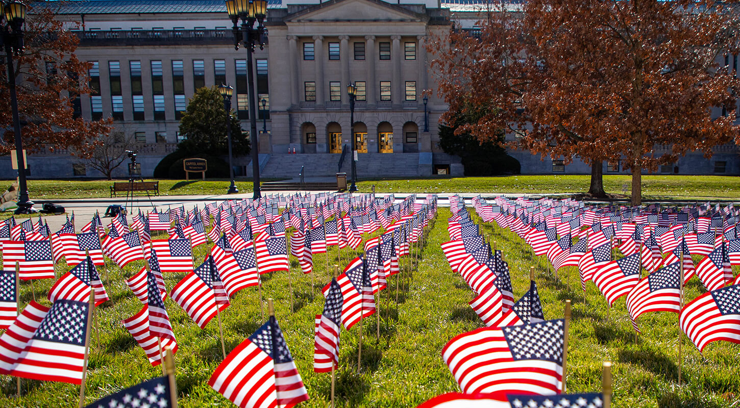  Many small American flags stuck in the lawn at the Capitol building